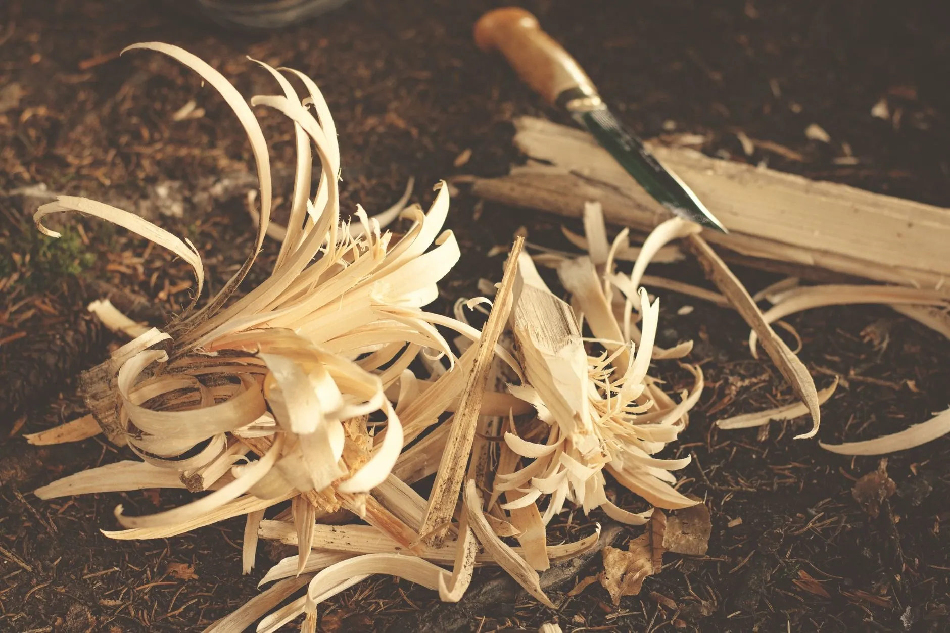 Pale wood shavings curling beside a knife